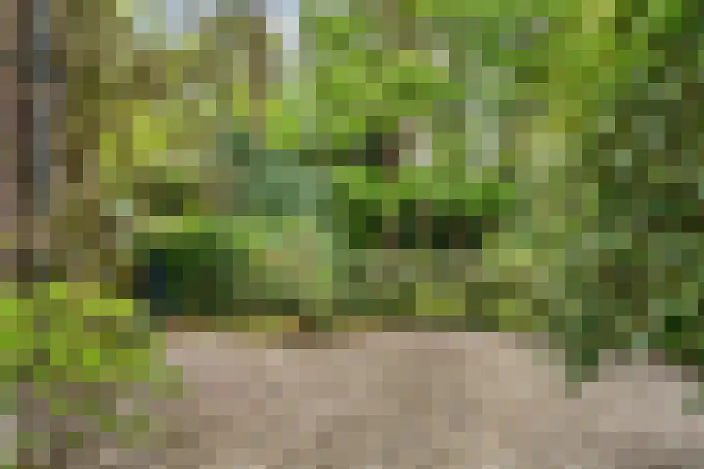 Hasebroeklaan 25 Bilthoven thumbnail 62