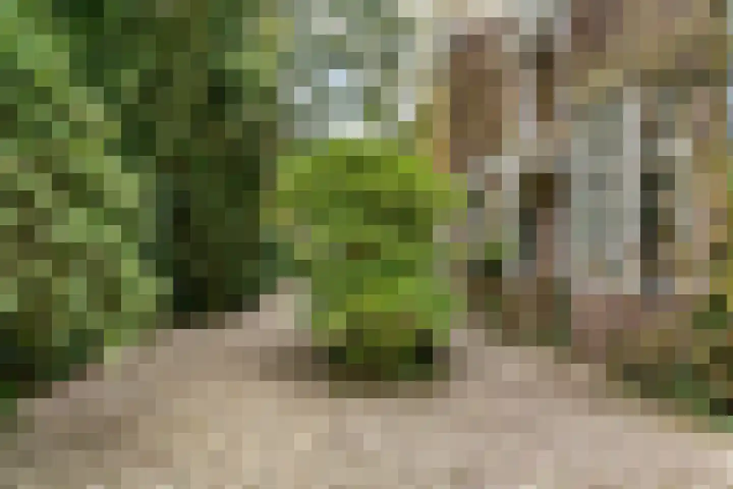 Hasebroeklaan 25 Bilthoven thumbnail 64