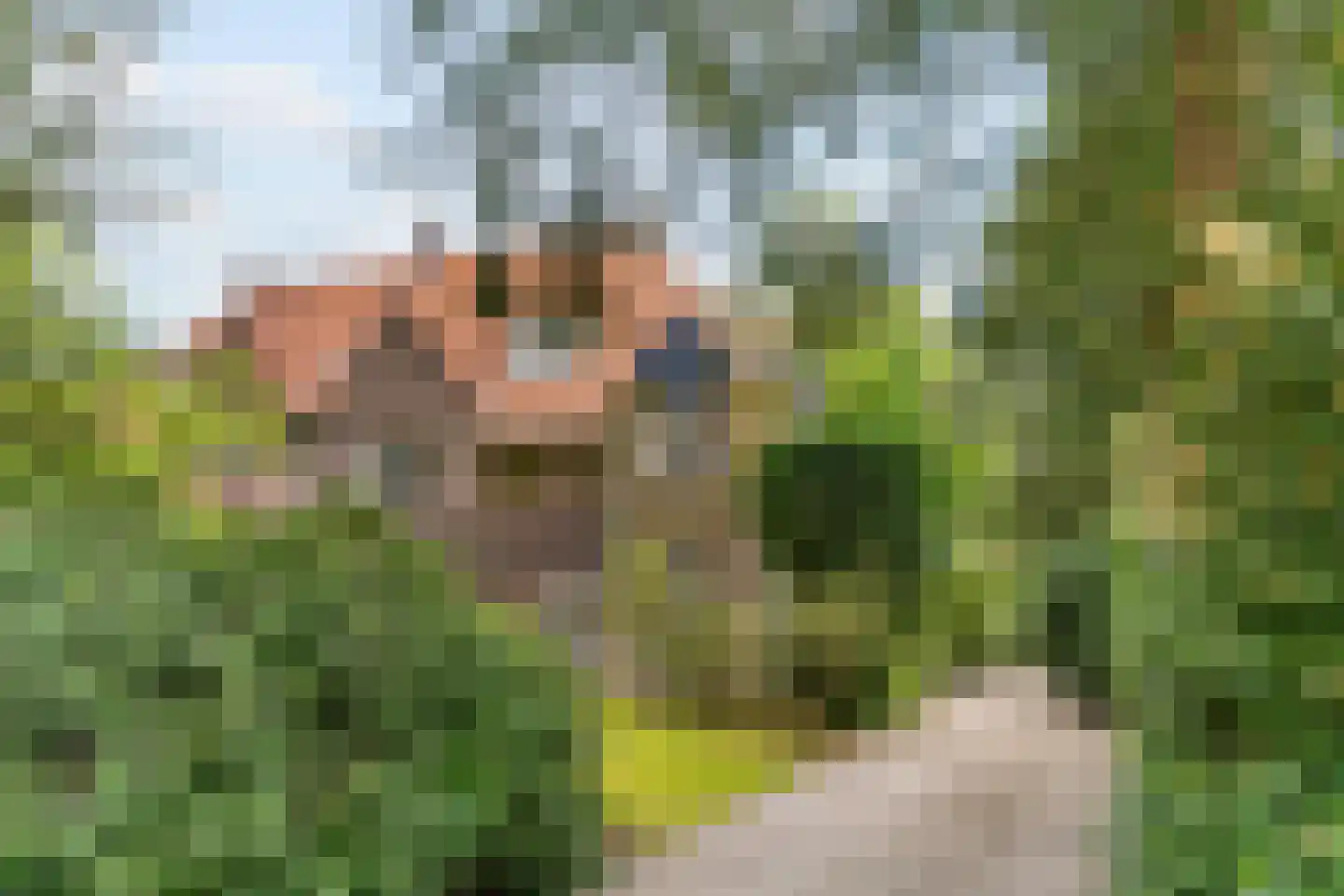 Hasebroeklaan 25 Bilthoven thumbnail 66