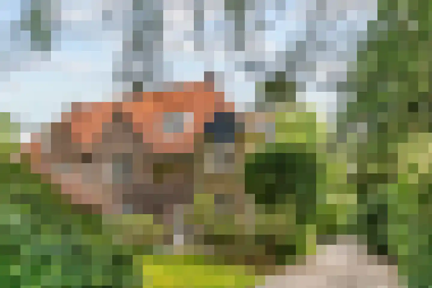 Hasebroeklaan 25 Bilthoven thumbnail 69