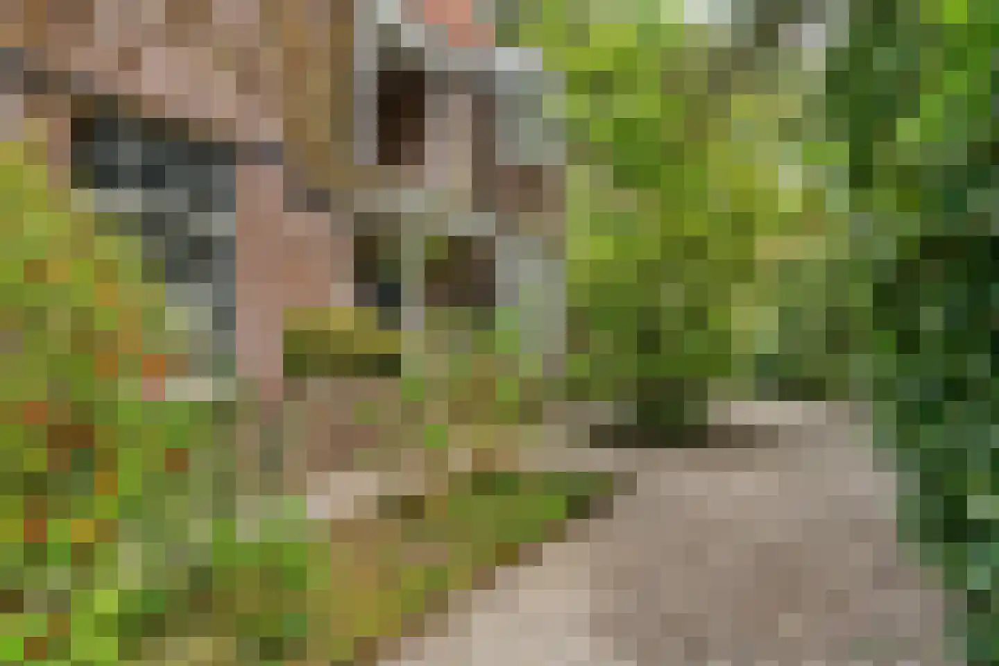 Hasebroeklaan 25 Bilthoven thumbnail 7