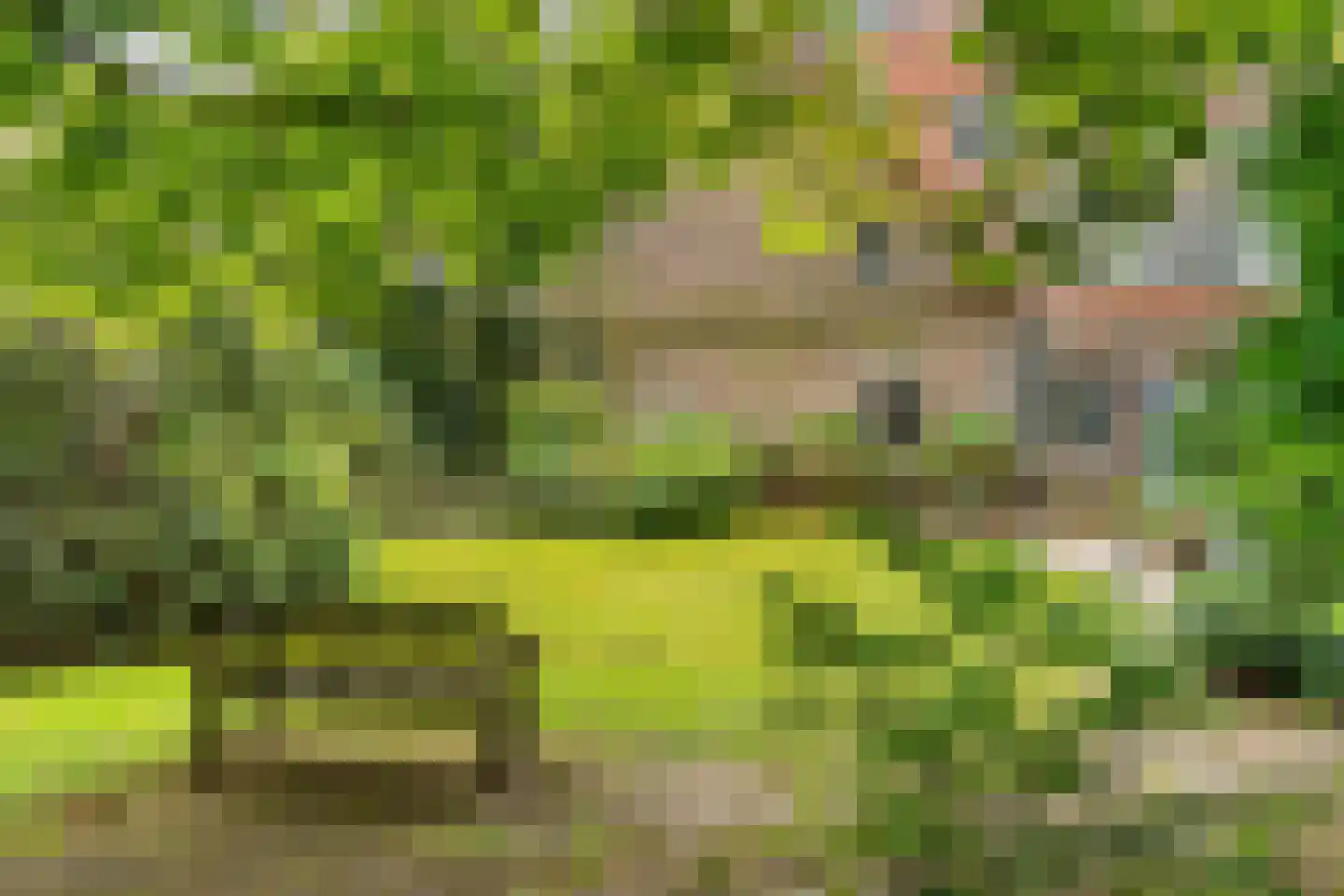 Hasebroeklaan 25 Bilthoven thumbnail 8