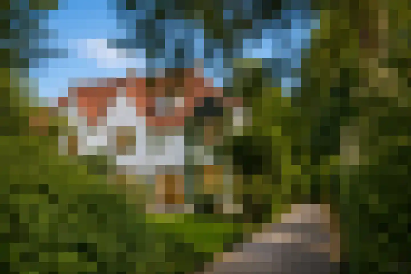 Hasebroeklaan 25 Bilthoven thumbnail 9