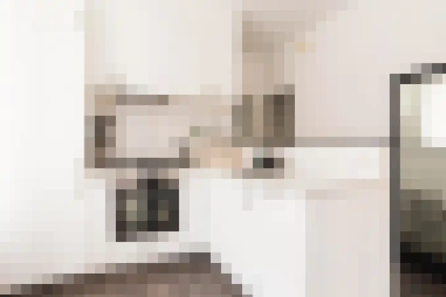 Hasebroekstraat 1 2 Amsterdam thumbnail 6
