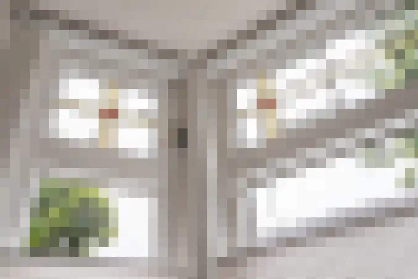 Hasebroekstraat 15 Utrecht thumbnail 11