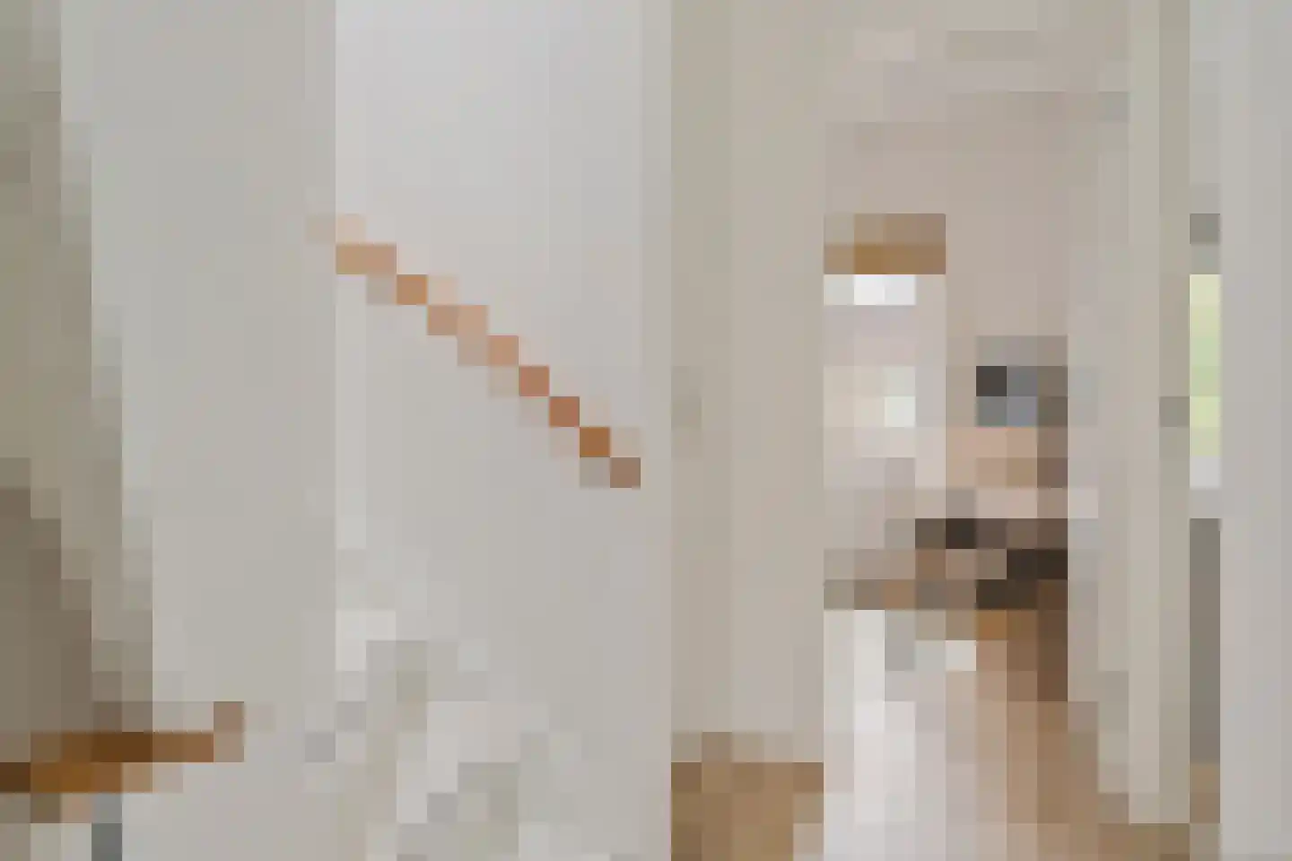 Hasebroekstraat 15 Utrecht thumbnail 29