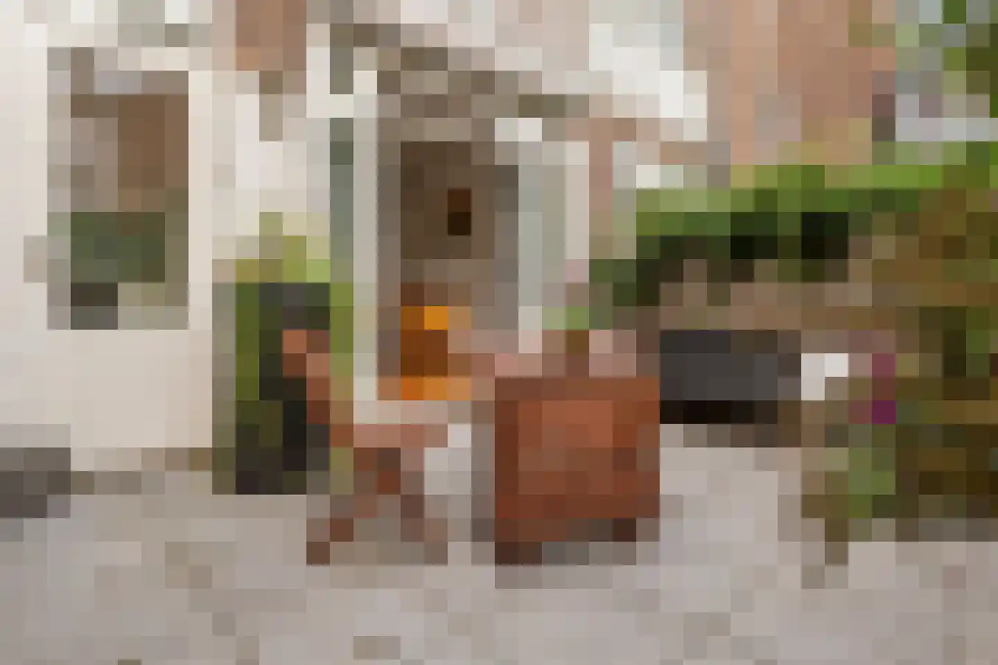 Hasebroekstraat 15 Utrecht thumbnail 39