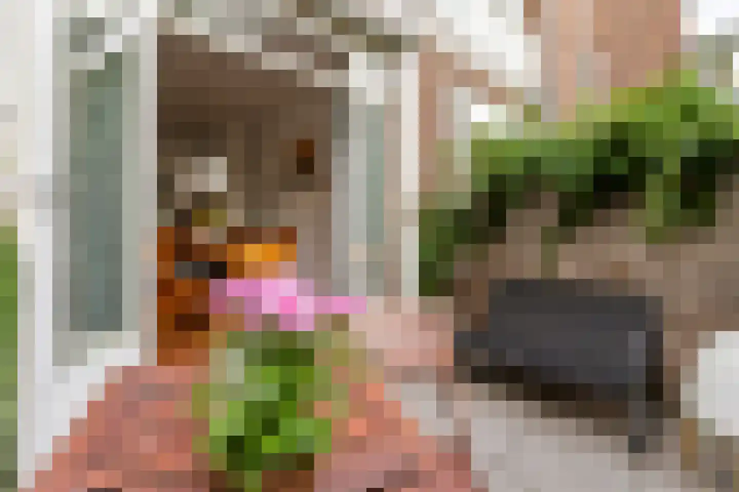 Hasebroekstraat 15 Utrecht thumbnail 40