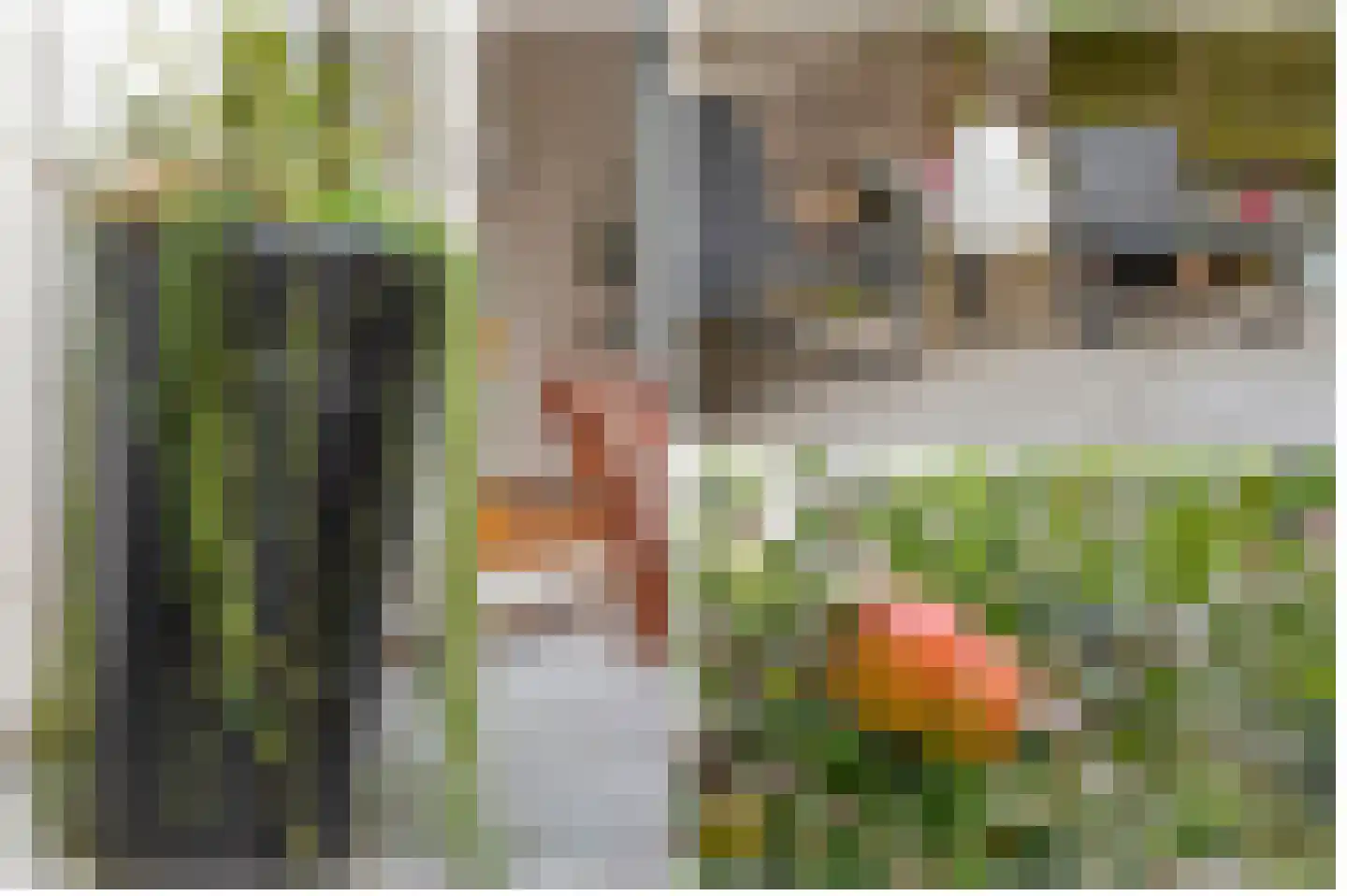 Hasebroekstraat 15 Utrecht thumbnail 42