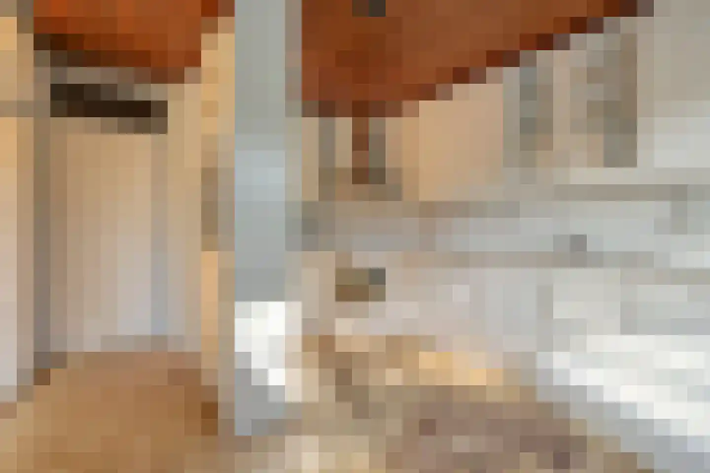 Hasebroekstraat 18 Hengelo thumbnail 19