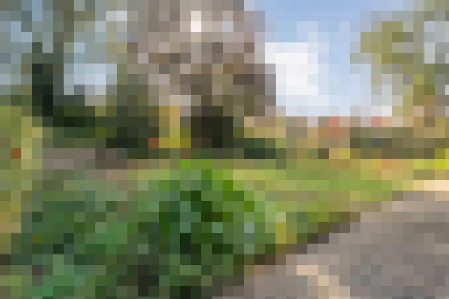Hasebroekstraat 18 Hengelo thumbnail 30