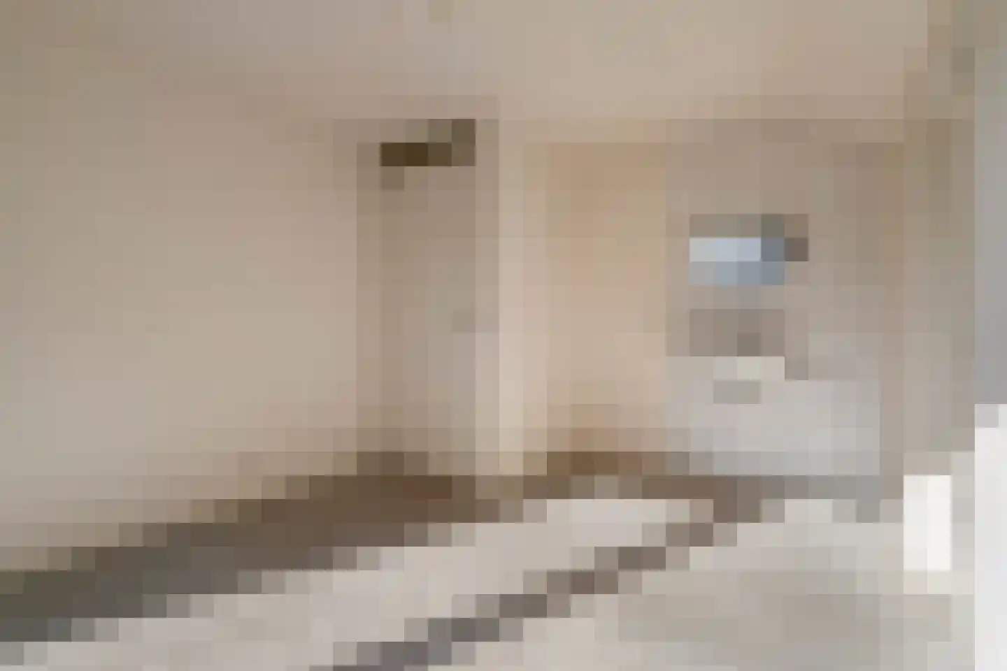 Hasebroekstraat 18 Hengelo thumbnail 52