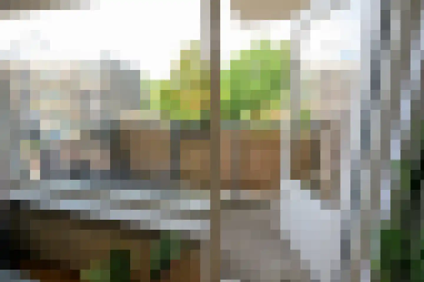 Hasebroekstraat 19 Leiden thumbnail 10