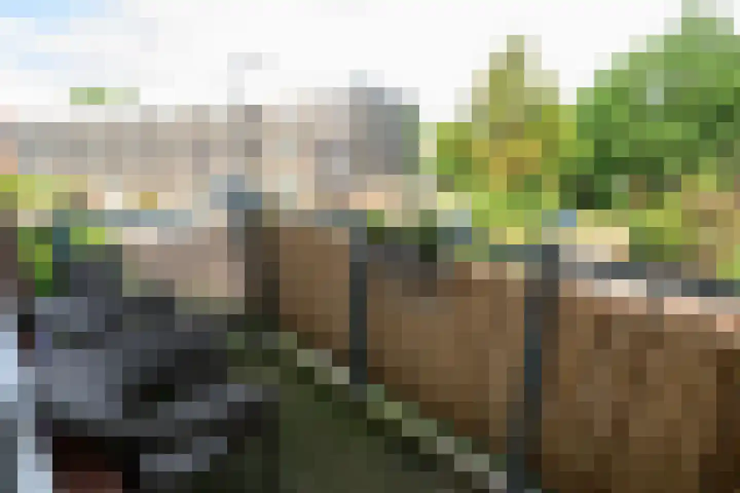 Hasebroekstraat 19 Leiden thumbnail 11