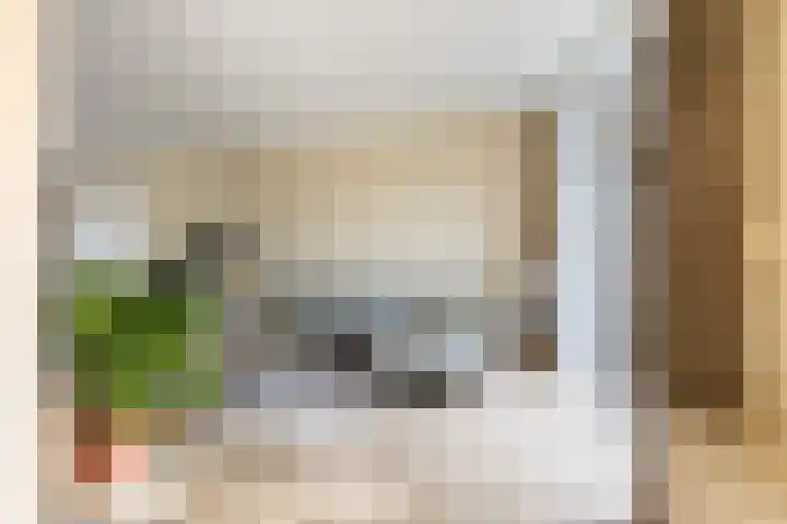 Hasebroekstraat 2 Utrecht thumbnail 14