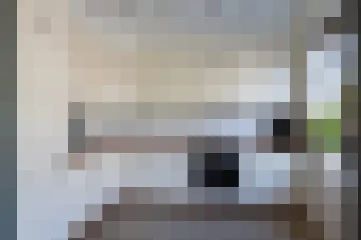 Hasebroekstraat 2 Utrecht thumbnail 21