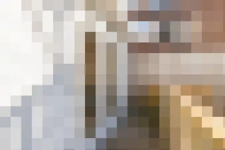 Hasebroekstraat 2 Utrecht thumbnail 24