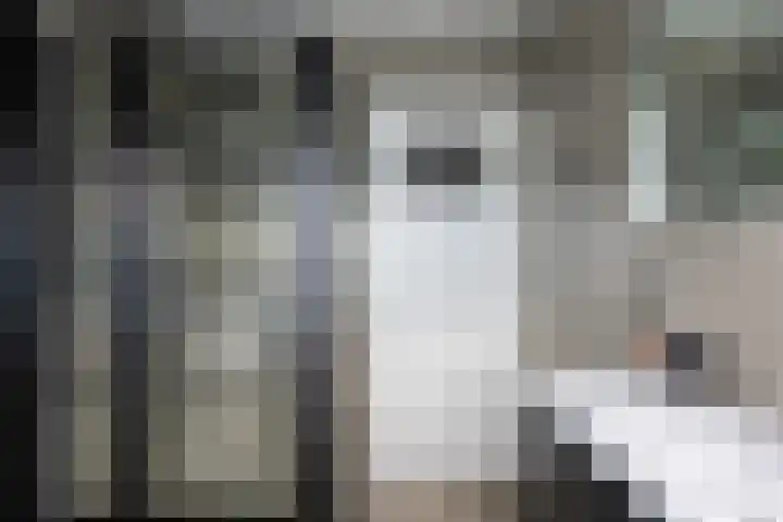 Hasebroekstraat 2 Utrecht thumbnail 38