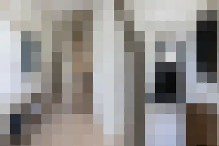 Hasebroekstraat 2 Utrecht thumbnail 8