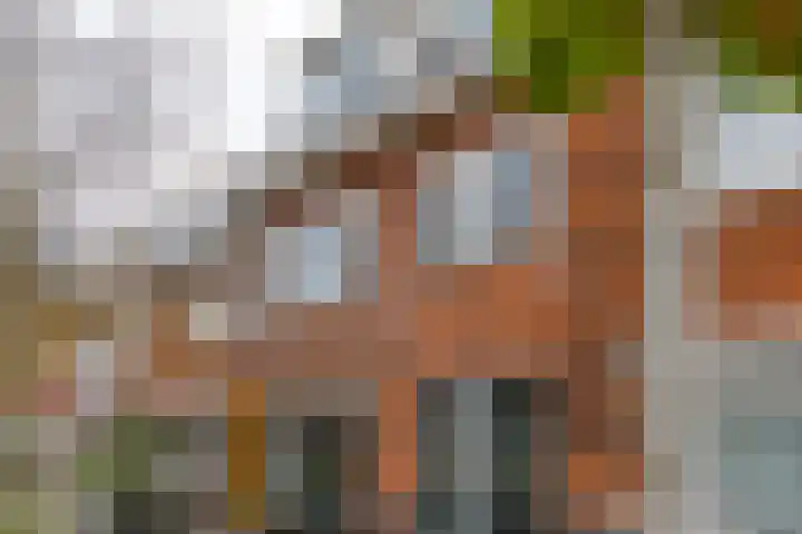 Hasebroekstraat 21 Utrecht thumbnail 17