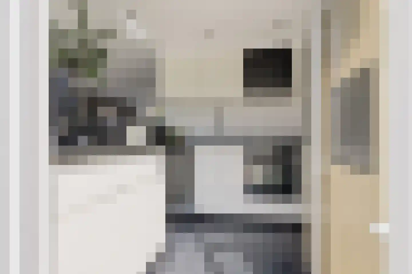 Hasebroekstraat 24 Heemskerk thumbnail 16