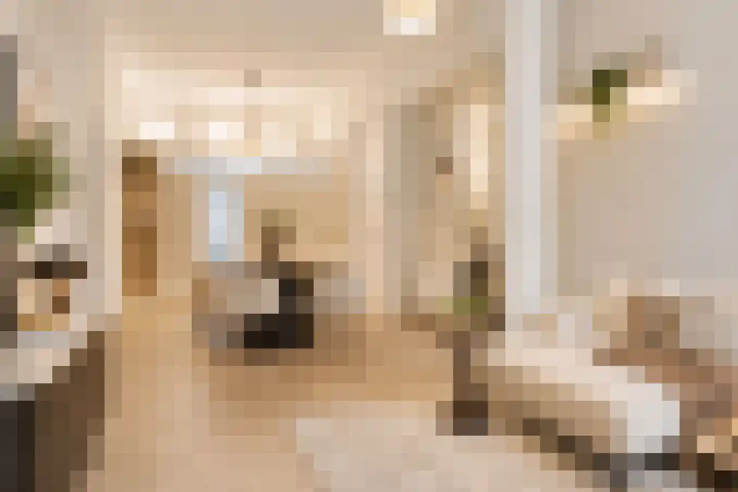 Hasebroekstraat 3 H Amsterdam thumbnail 23