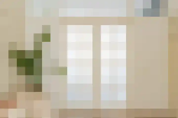 Hasebroekstraat 31 2 Amsterdam thumbnail 18