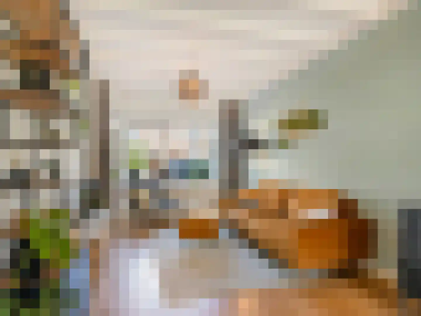 Hasebroekstraat 37 Utrecht thumbnail 13