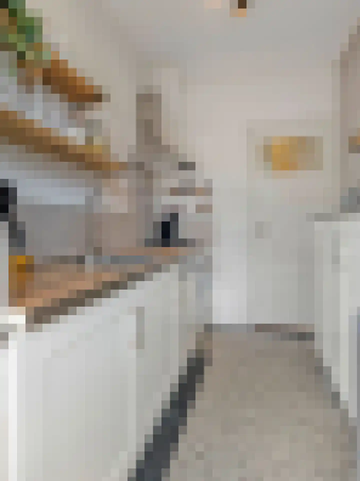 Hasebroekstraat 37 Utrecht thumbnail 24