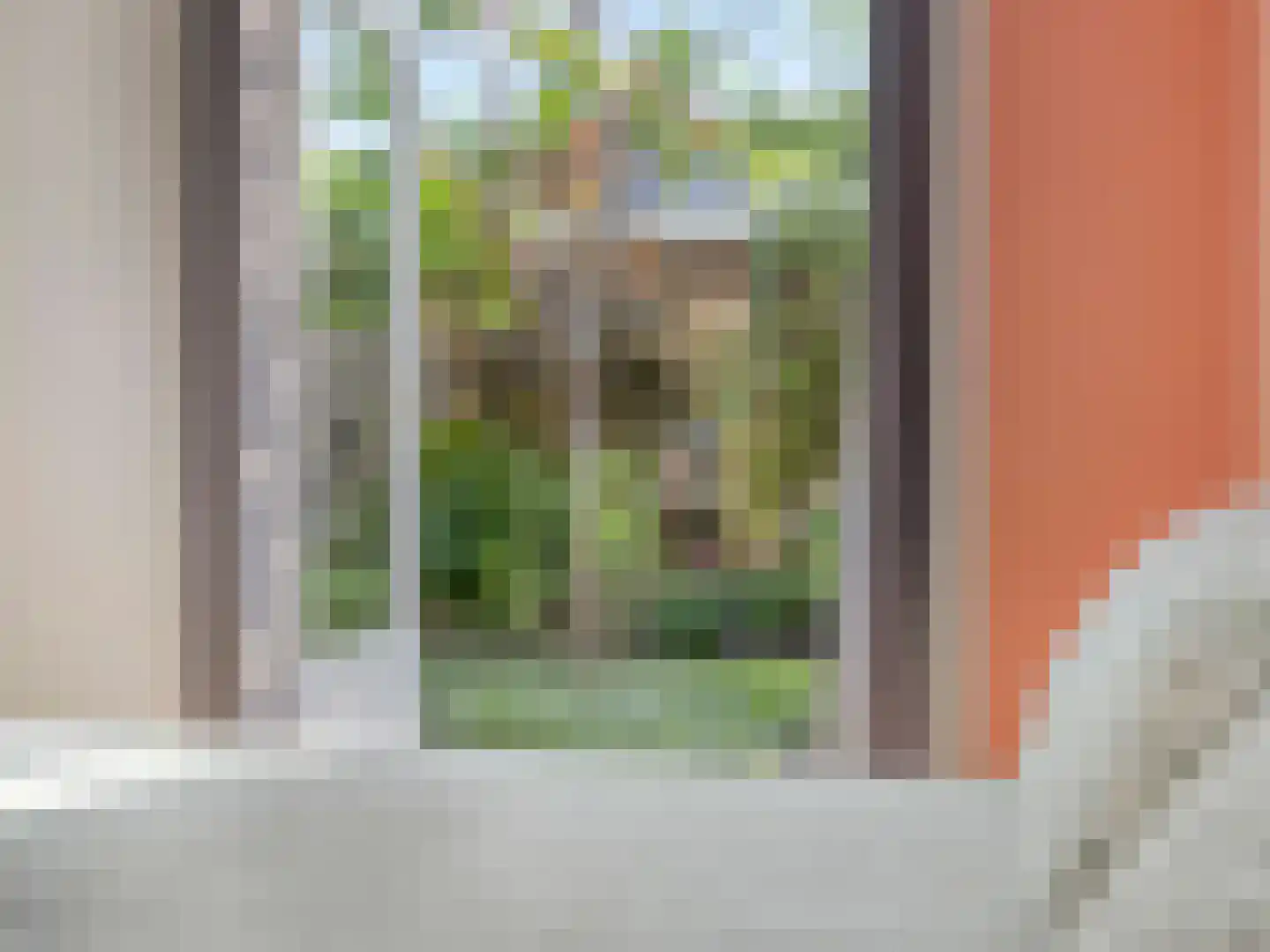 Hasebroekstraat 37 Utrecht thumbnail 28