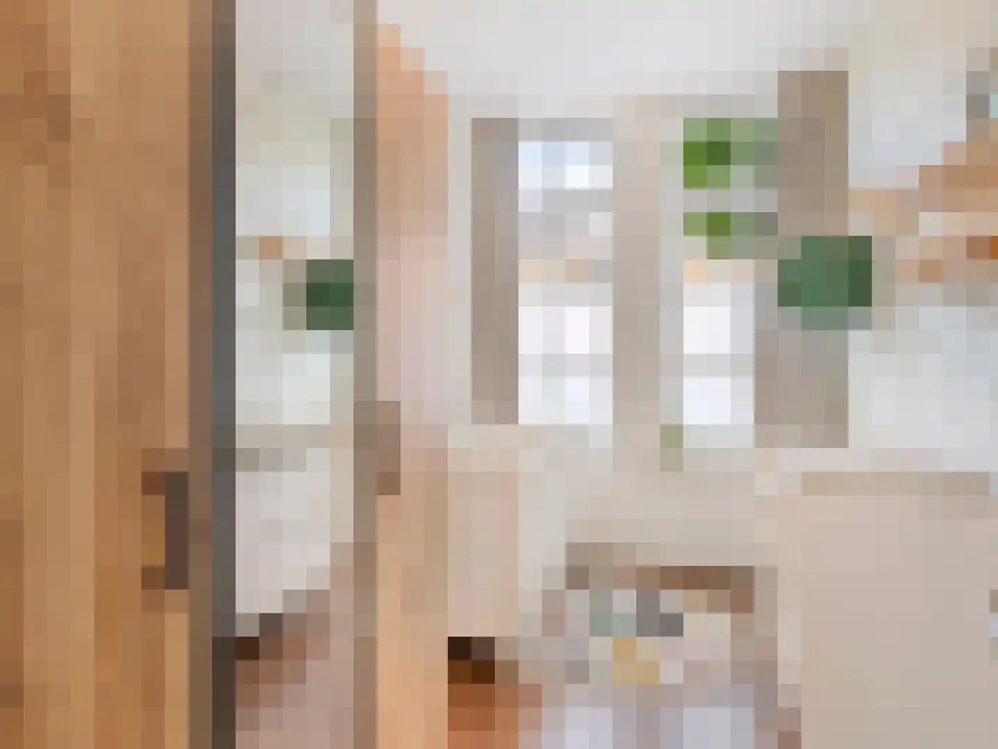 Hasebroekstraat 37 Utrecht thumbnail 30