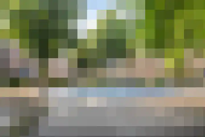 Hasebroekstraat 5 1 Amsterdam thumbnail 29