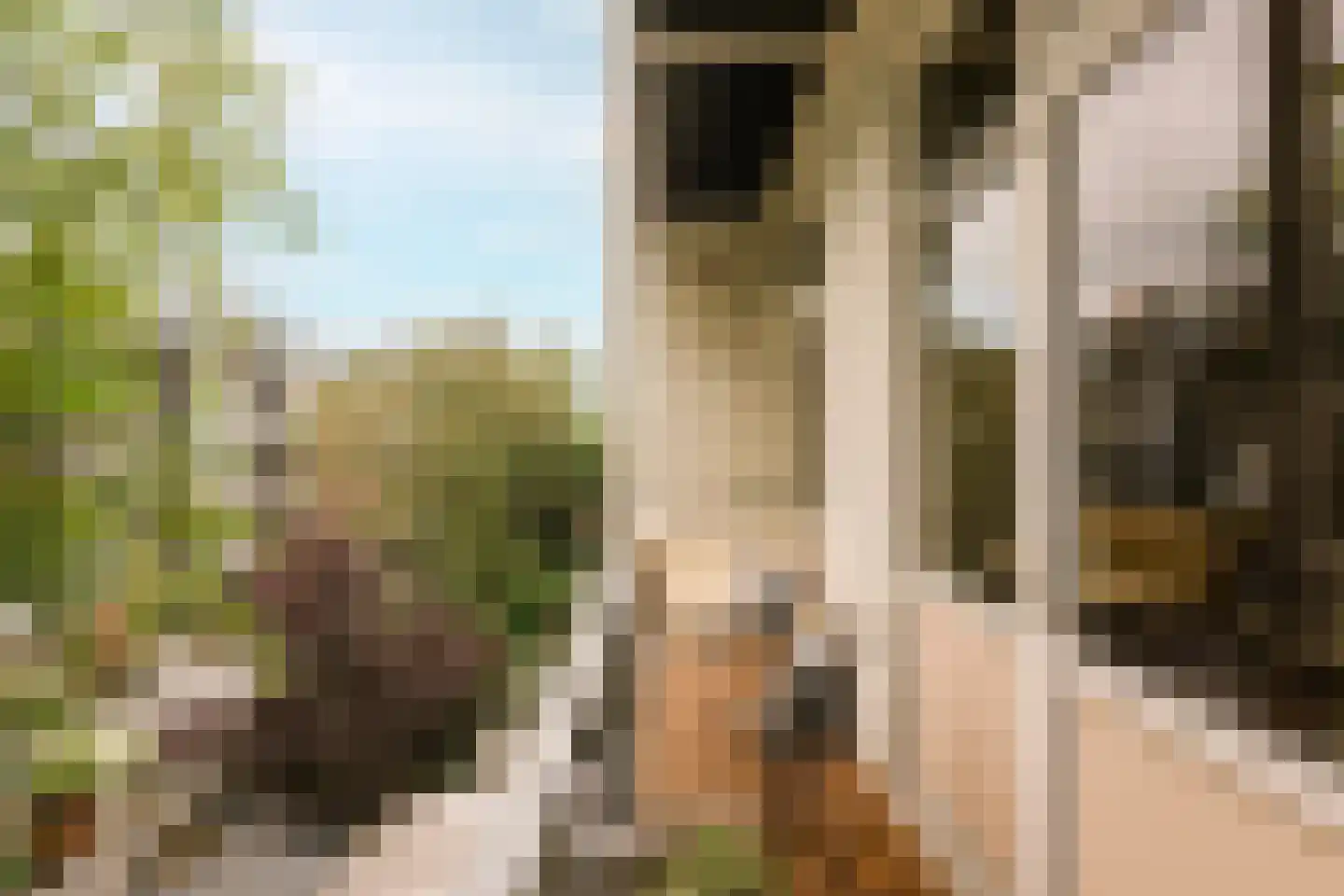 Hasebroekstraat 5 2 Amsterdam thumbnail 15