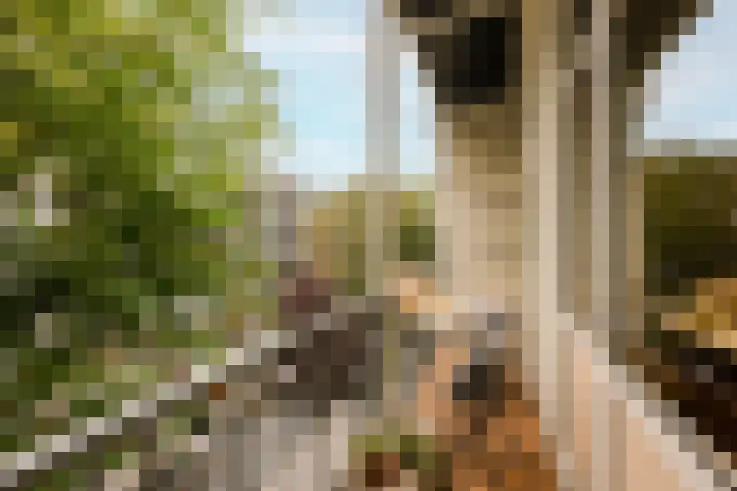 Hasebroekstraat 5 2 Amsterdam thumbnail 16