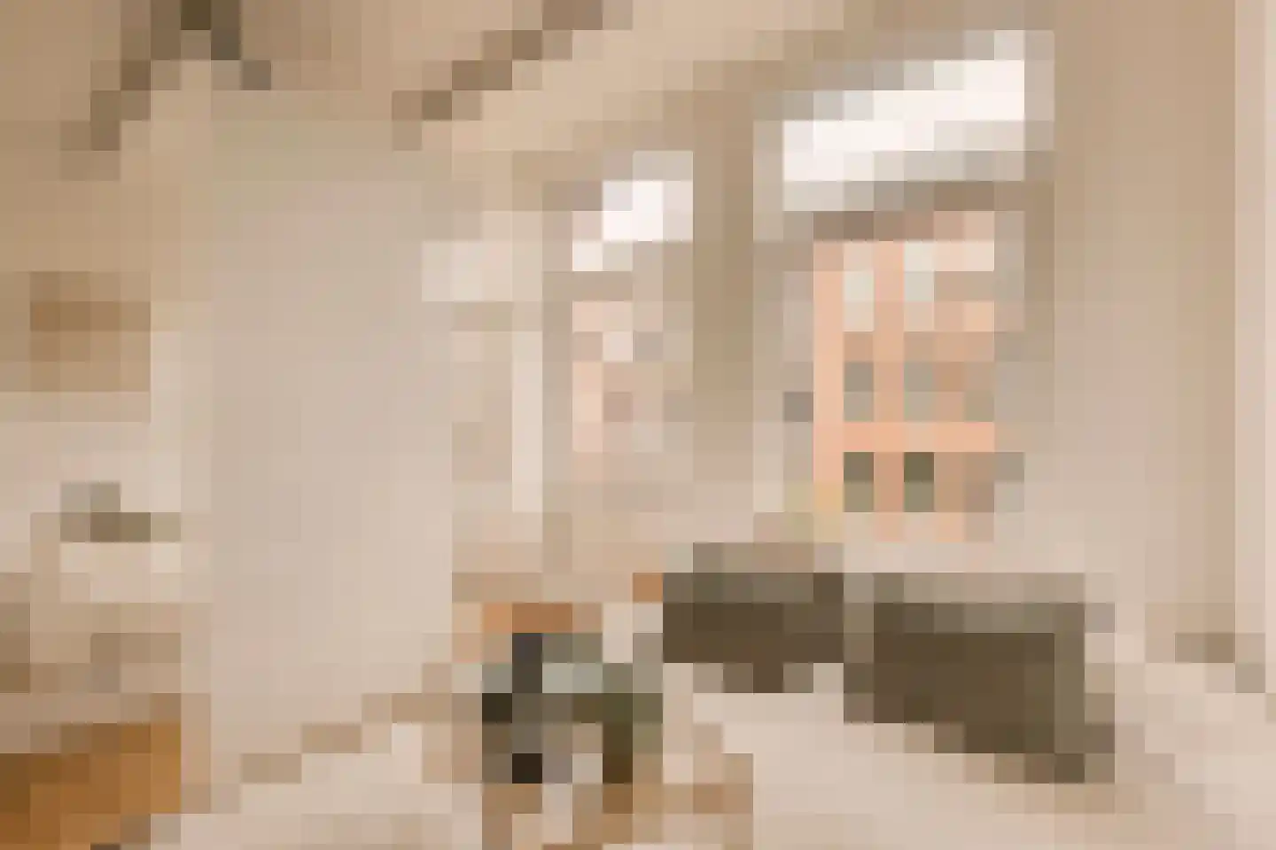 Hasebroekstraat 5 2 Amsterdam thumbnail 21