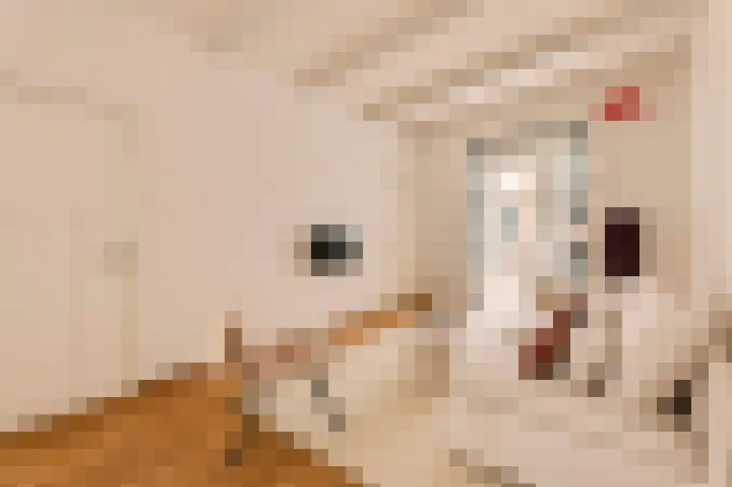 Hasebroekstraat 5 2 Amsterdam thumbnail 4