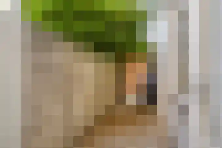Hasebroekstraat 5 Utrecht thumbnail 19