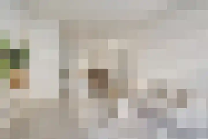Hasebroekstraat 5 Utrecht thumbnail 5