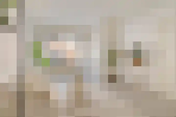 Hasebroekstraat 5 Utrecht thumbnail 6