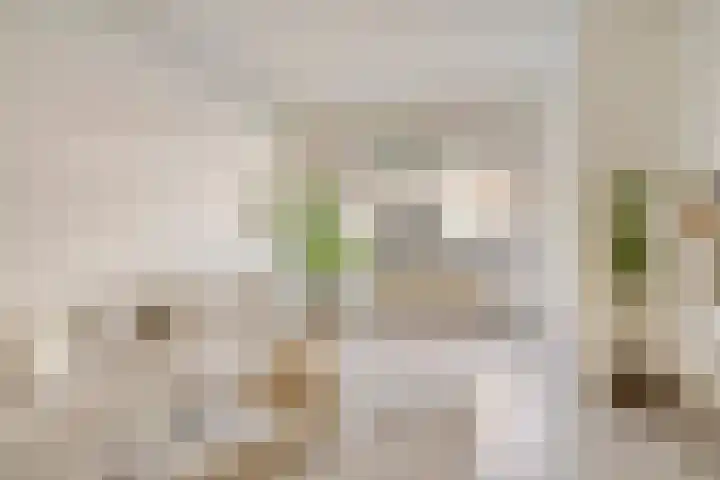 Hasebroekstraat 5 Utrecht thumbnail 7