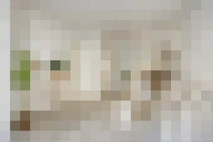 Hasebroekstraat 5 Utrecht thumbnail 8