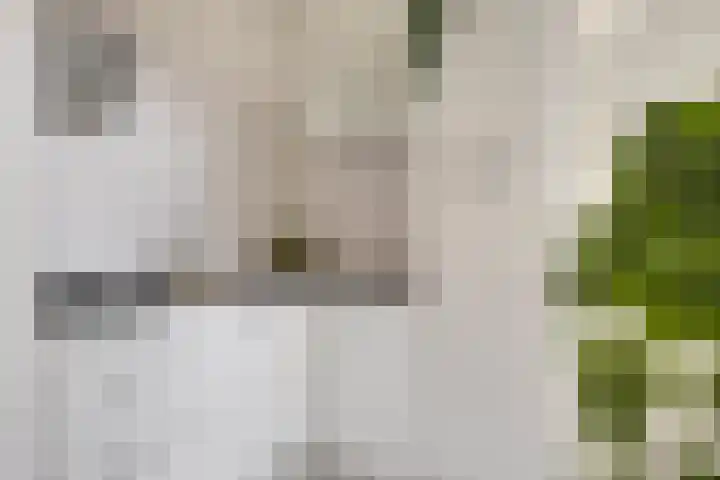 Hasebroekstraat 5 Utrecht thumbnail 9