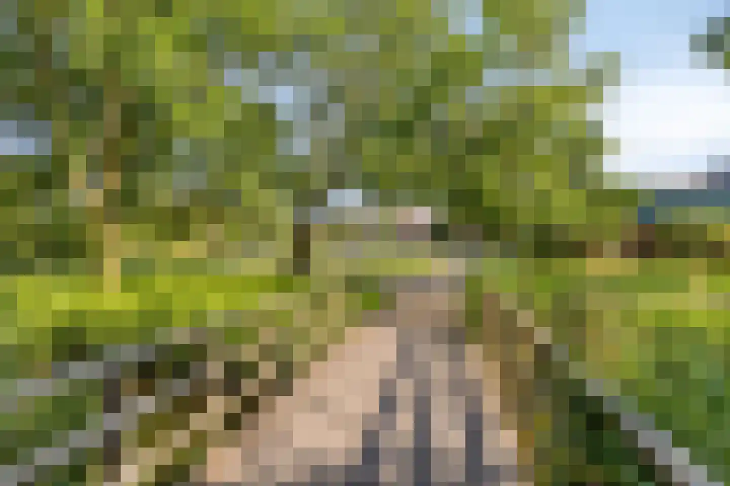 Hasebroekstraat 7 Leiden thumbnail 37