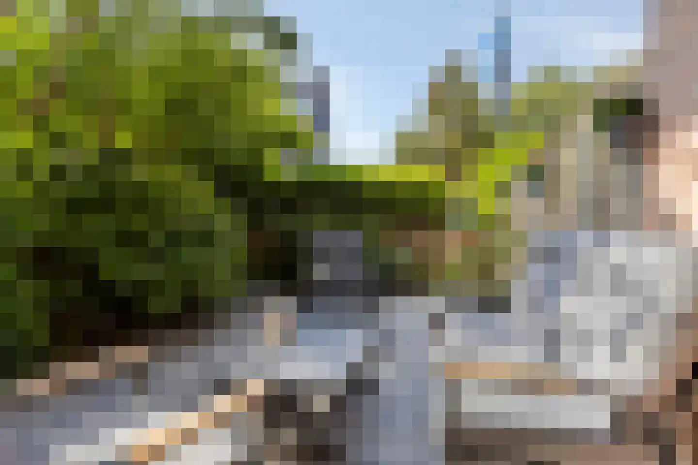 Hasebroekstraat 7 Leiden thumbnail 6