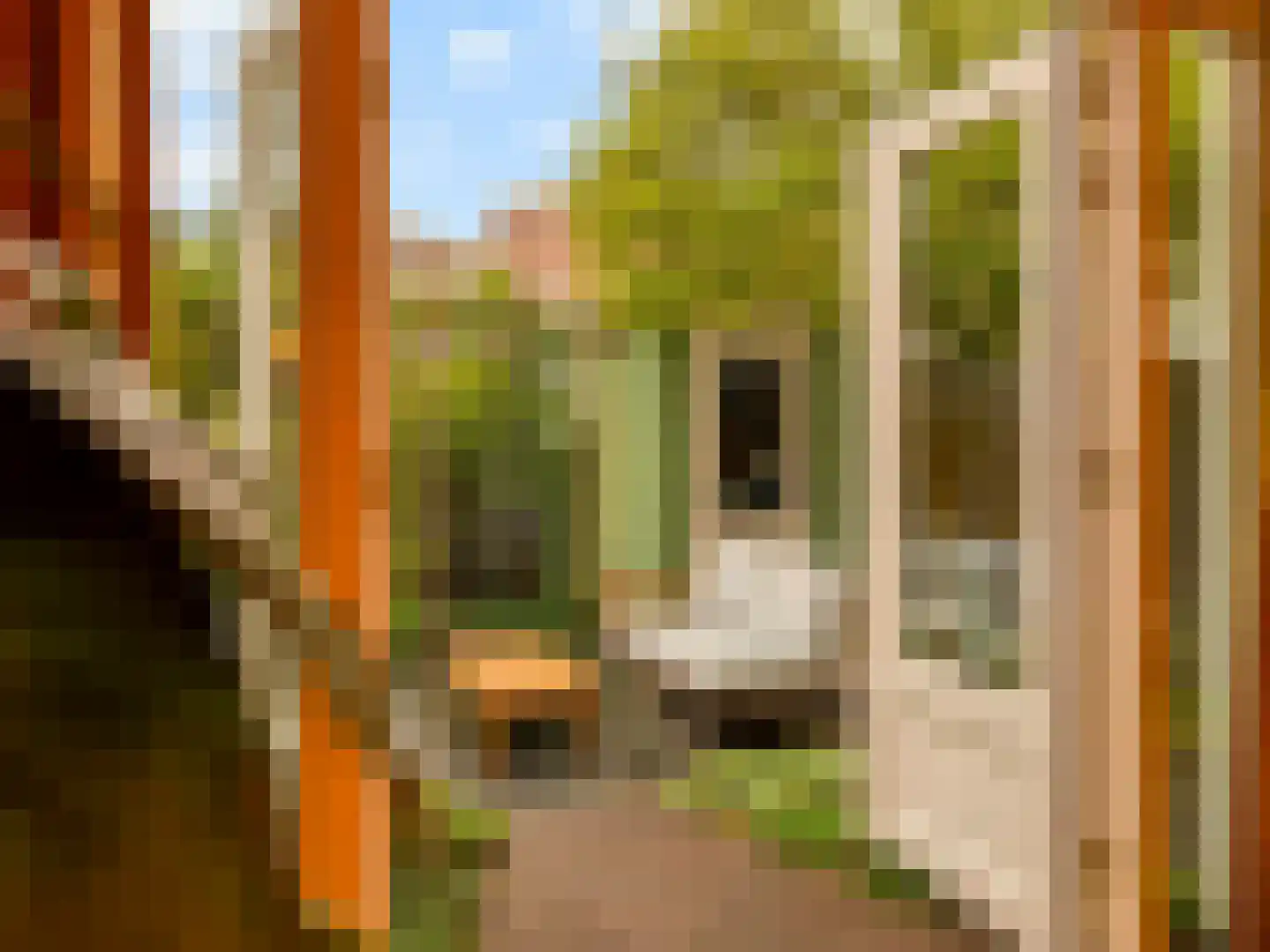 Hasebroekstraat 7 Utrecht thumbnail 20