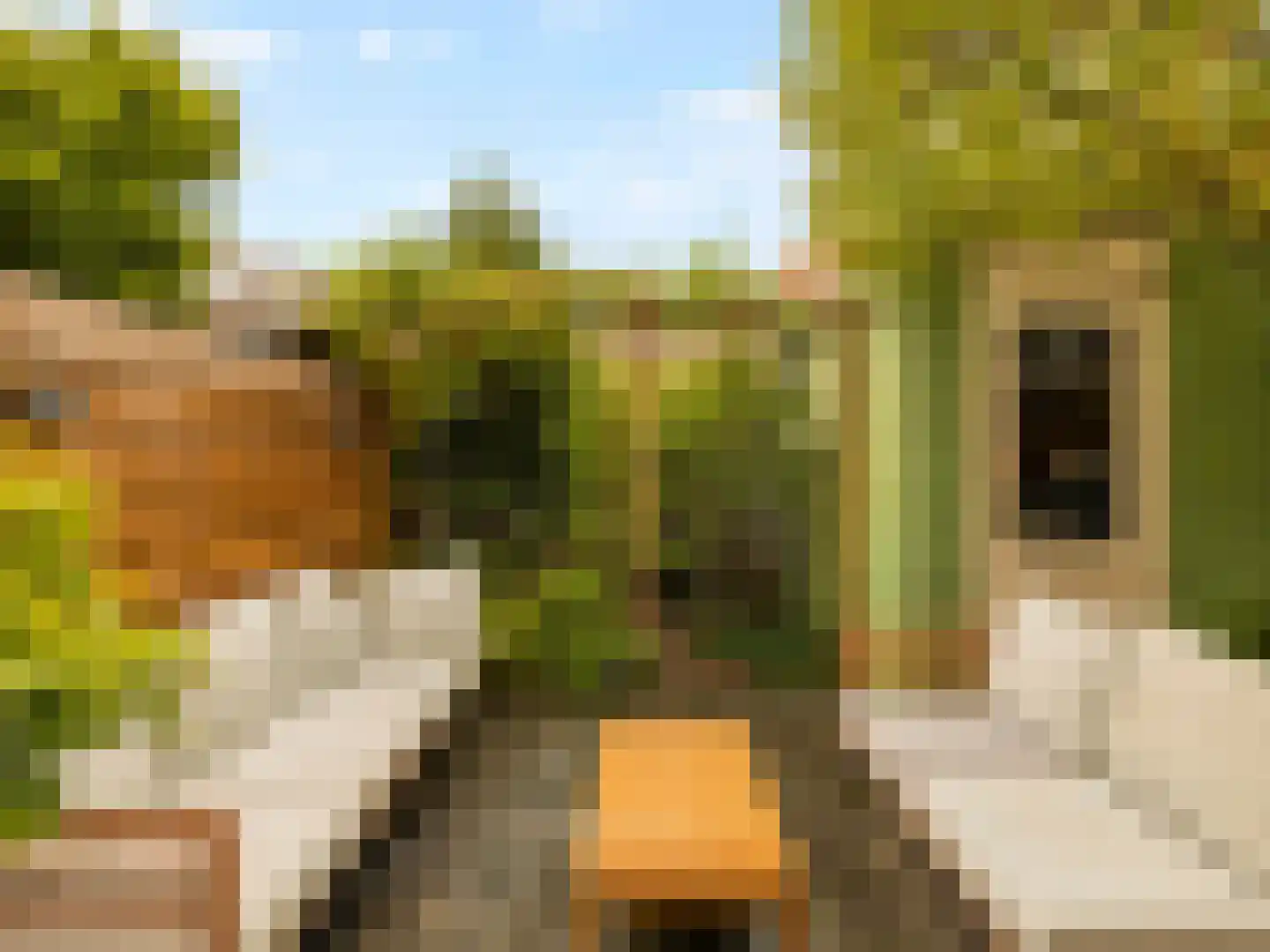 Hasebroekstraat 7 Utrecht thumbnail 21