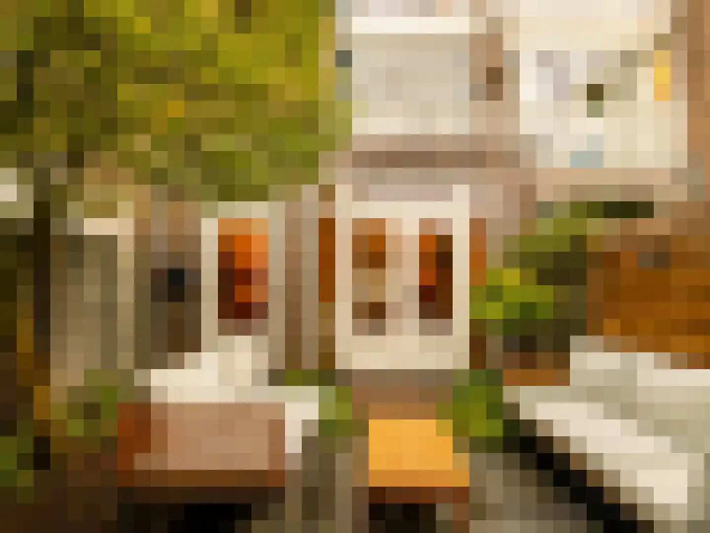 Hasebroekstraat 7 Utrecht thumbnail 22
