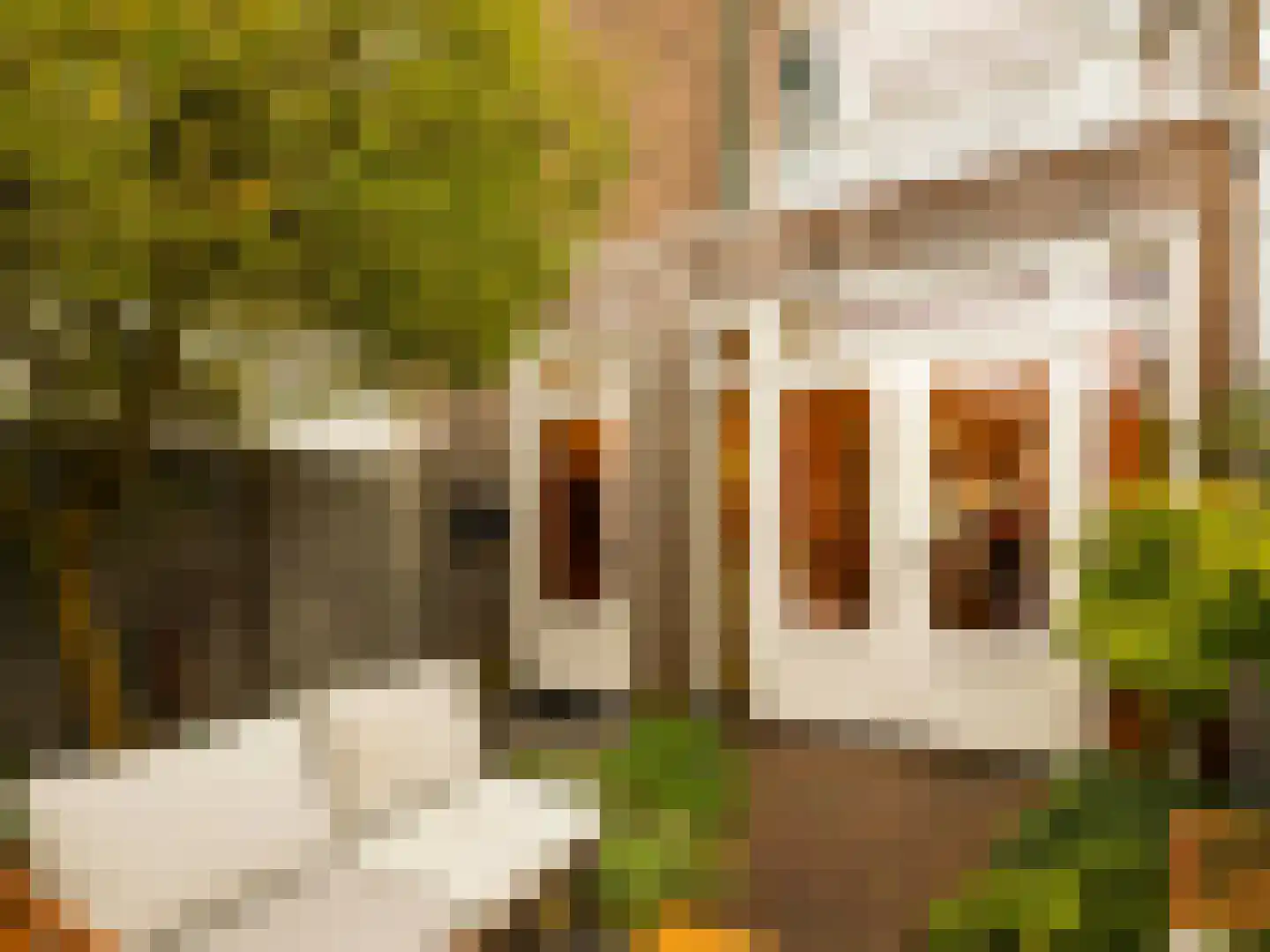 Hasebroekstraat 7 Utrecht thumbnail 23