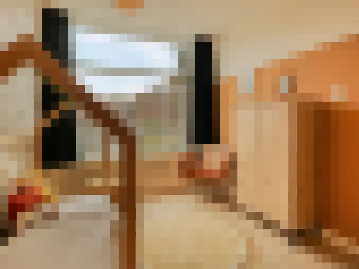 Hasebroekstraat 7 Utrecht thumbnail 31