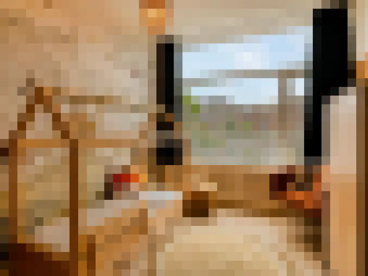 Hasebroekstraat 7 Utrecht thumbnail 32